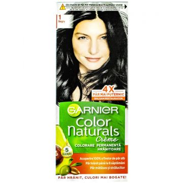 Garnier Vopsea de par Color Naturals 1 Negru