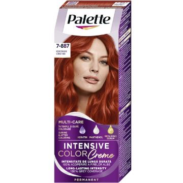 Vopsea de par permanenta RV6 Rosu Stacojiu Intensive Color Cream , 110ml,  Palette