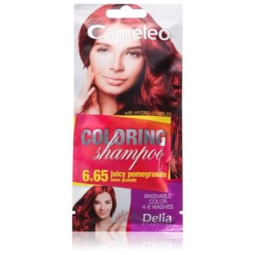 Delia Cosmetics Cameleo Coloring Shampoo șampon nuanțator pentru păr