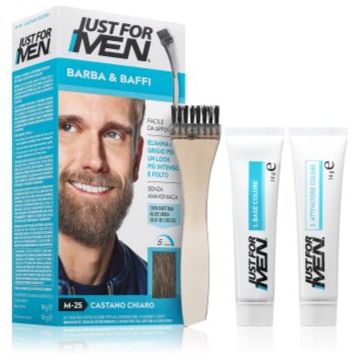 Just for Men Men Moustache & Beard vopsea pentru barbă pentru acoperirea firelor albe
