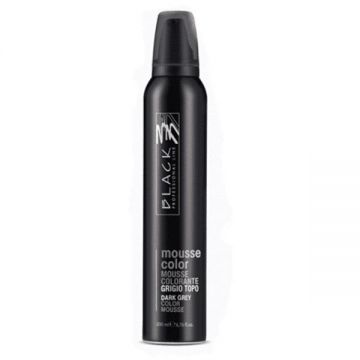 Spuma Coloranta - Black Professional Line Mousse Color Protective Colouring Dark Grey, 200ml