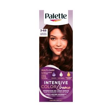 Vopsea de Par Permanenta Palette Intensive Color Creme R2/3-68 Castaniu Inchis, 110 ml